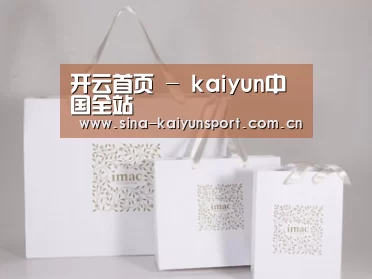 项目名称十一