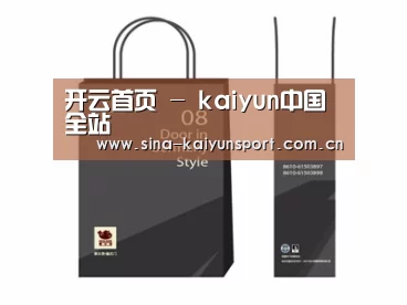 项目名称十四